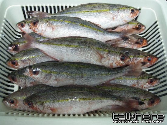 照片 123.jpg