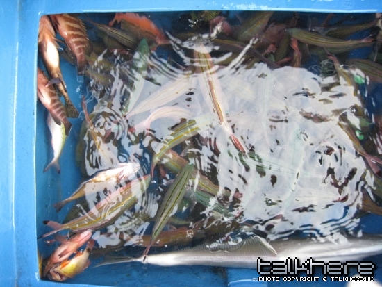 照片 120.jpg