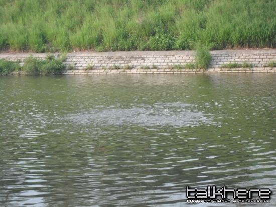 照片 156.jpg