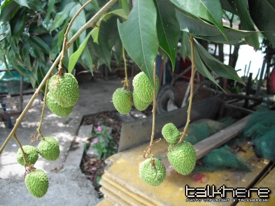 照片 186.jpg