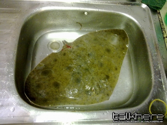 照片 100.jpg