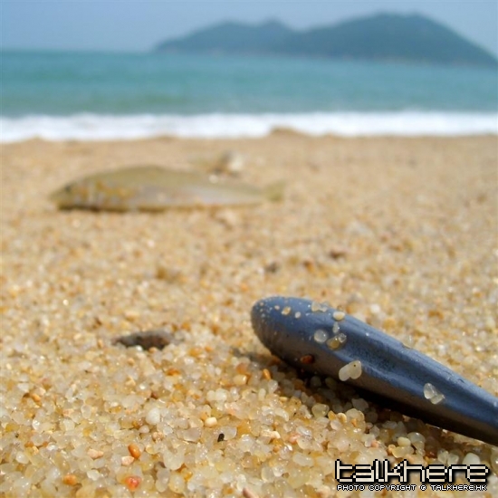 SL270041.JPG