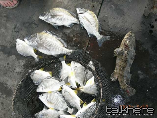 RIMG0258-縮圖.JPG