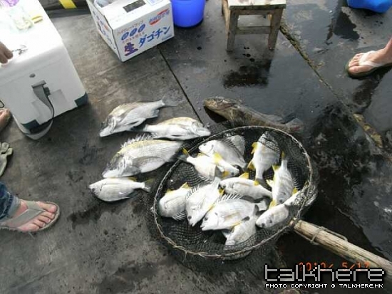 RIMG0257-縮圖.JPG