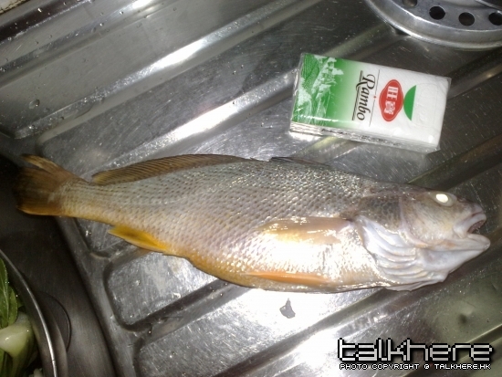 足40cm