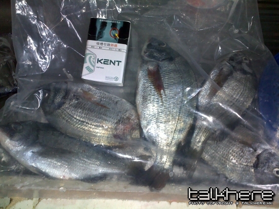 回家魚前影多張