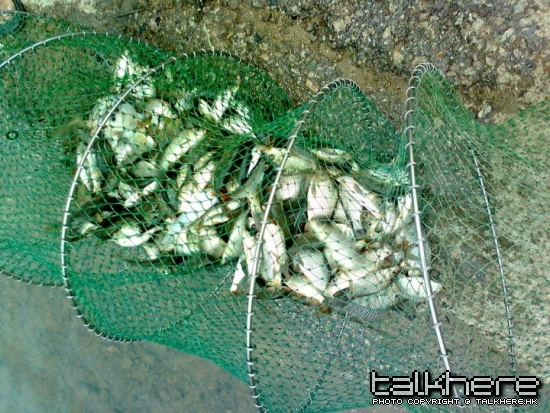 相片0012.JPG