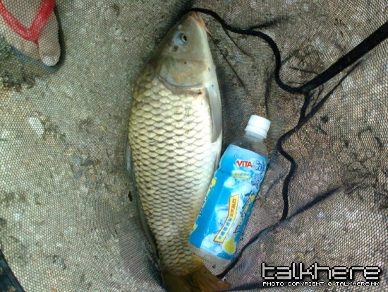 相片0013.JPG