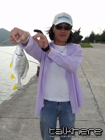 DSC03113.JPG