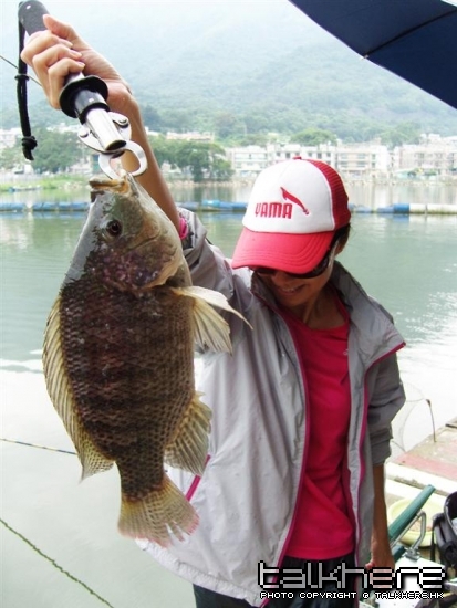 賽後釣菲