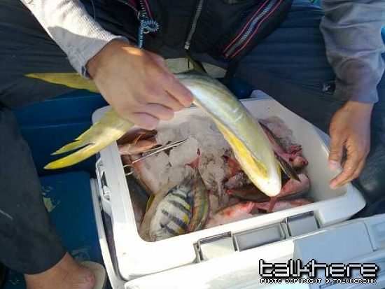 20100524209-縮圖.jpg