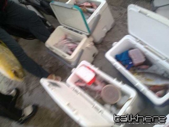 20100524213-縮圖.jpg