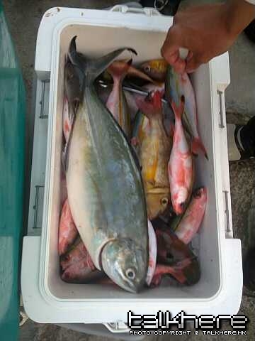 20100524215-縮圖.jpg