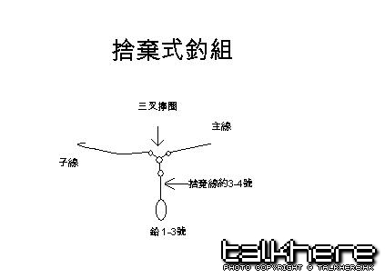 捨棄式釣組.JPG