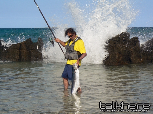 telescopic_surf_rods_image_-groupTextImage-Single-image_dash_512_384.jpg
