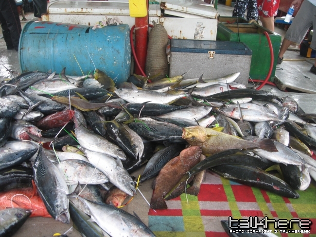 釣獲