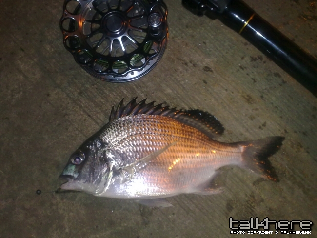 13052010197.jpg