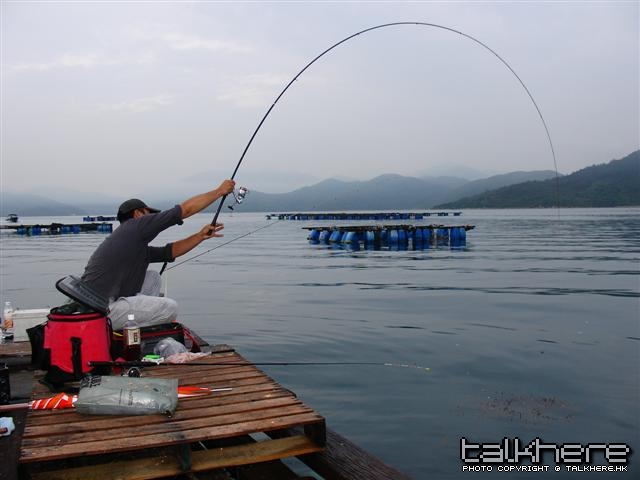 照片 004 (Small).jpg
