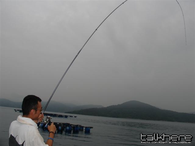 照片 011 (Small).jpg