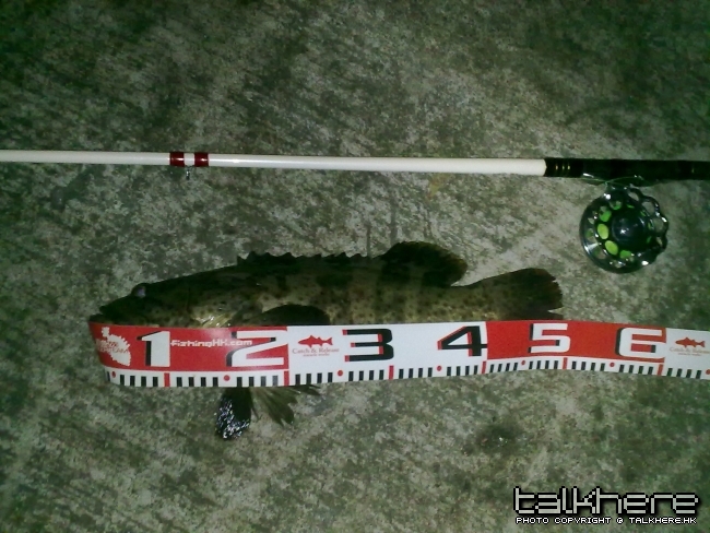 01062010222.jpg