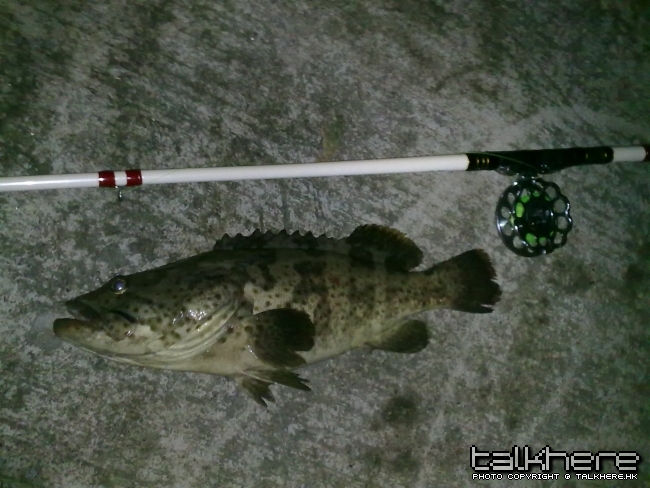01062010224.jpg
