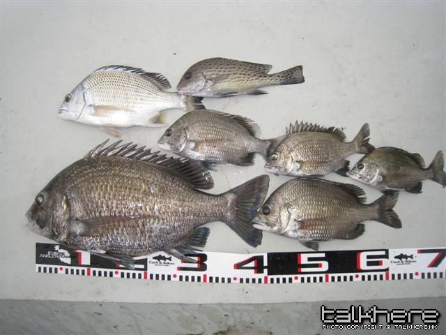 照片 041 (Small).jpg