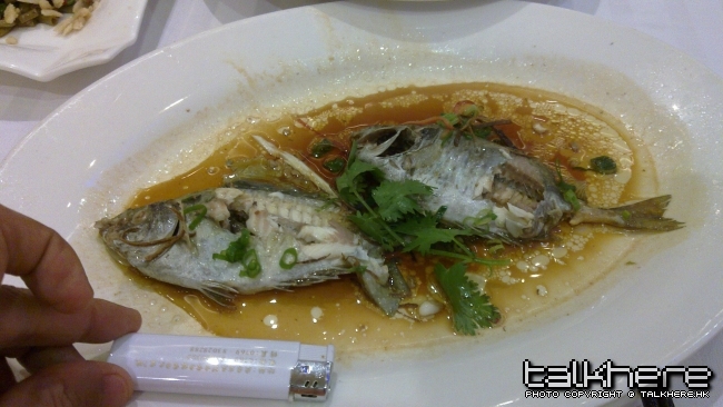 20100602.jpg