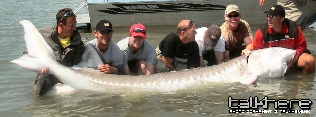 Canada_Record_Sturgeon_lg.jpg