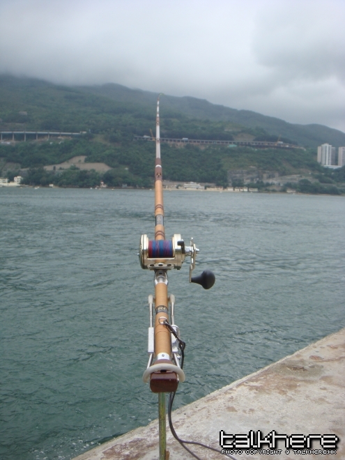 DSC01223.JPG