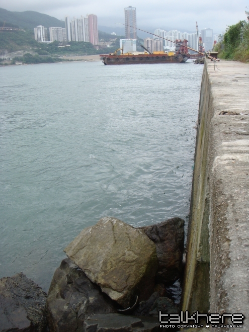 DSC01226.JPG