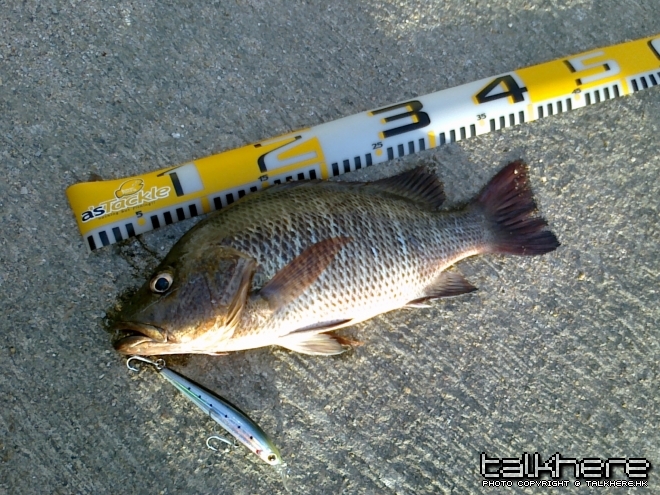 照片 039.jpg