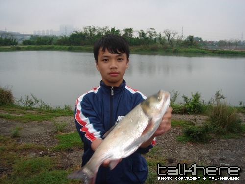20100620_33ade44675298caafcd5LlMluXAtCpGe.jpg