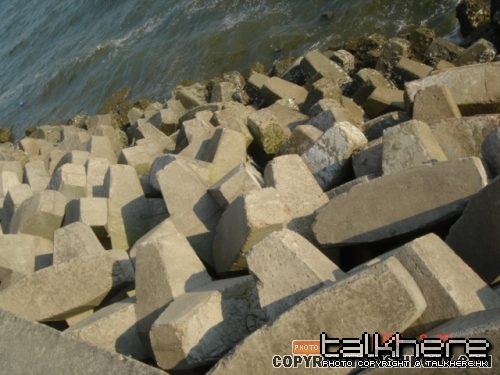 20080830_514858b061686bb0d4c317MY6Sg614jt.jpg