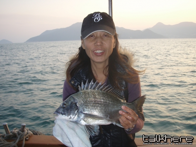 PB211056.JPG