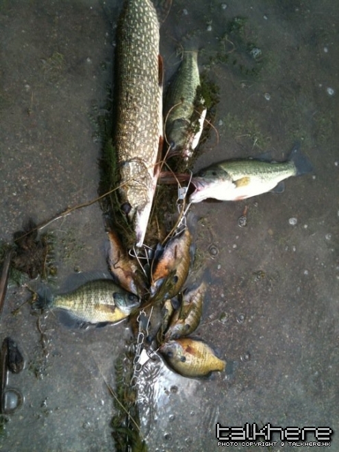 fish lake.jpg