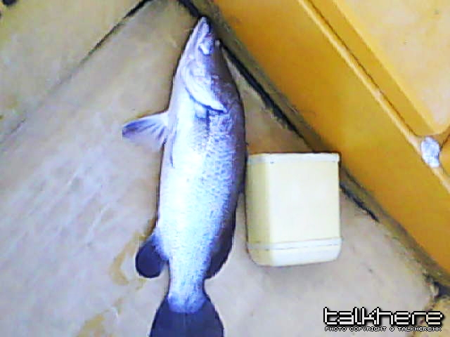DSC_0000056.jpg