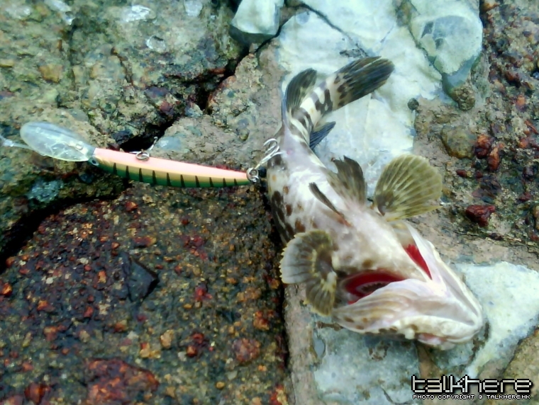DSC00075.JPG