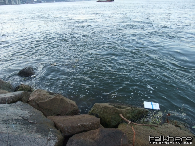DSCF4354.JPG