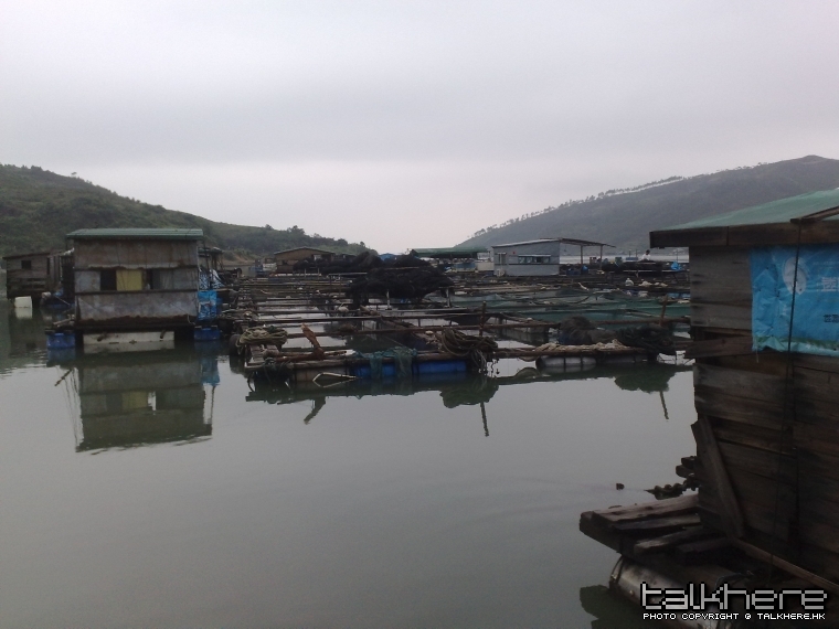 20100530150.jpg