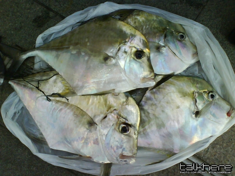 照片 040.jpg