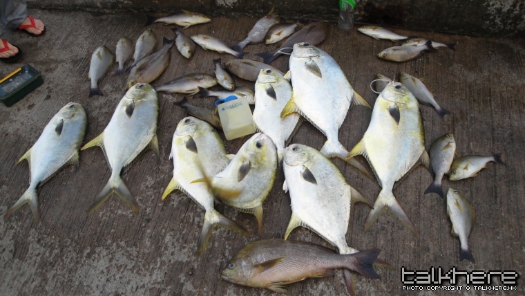 好意外收獲`~中10上8~仲有條大鷄添