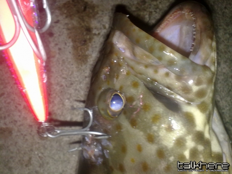 20100724335.jpg