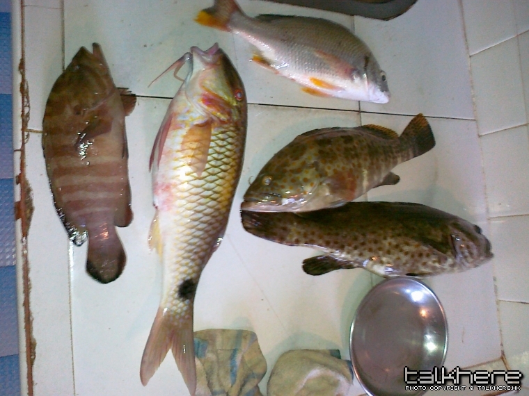 照片 235.jpg