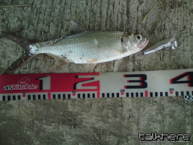 DSC02618.JPG