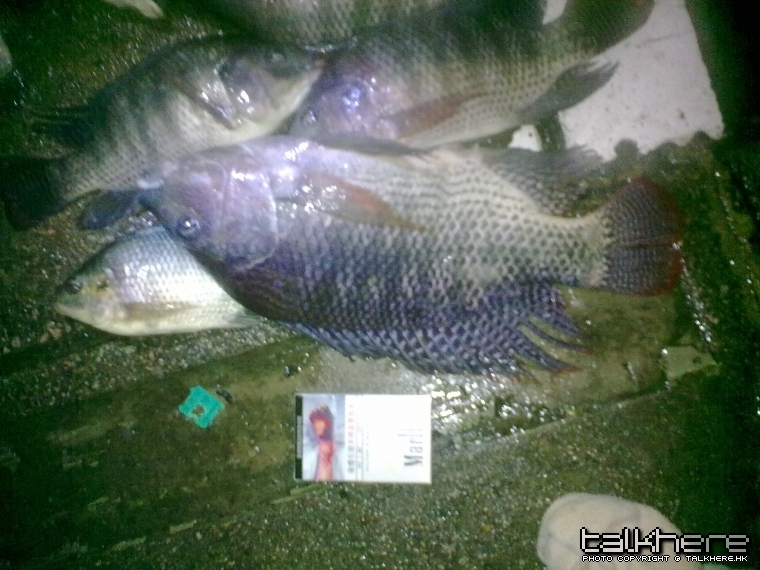 20100728968.jpg