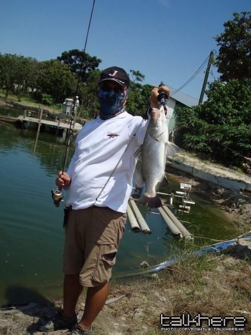 DSC02242.JPG