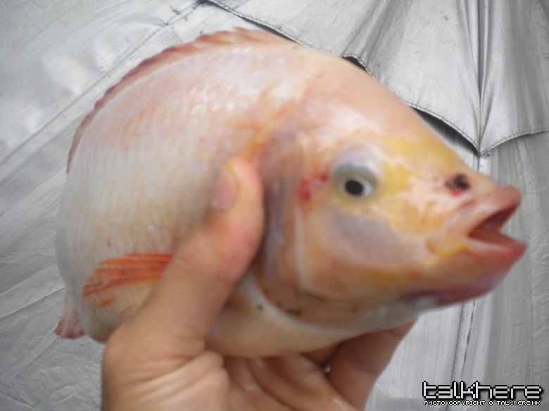 DSCN0312.JPG
