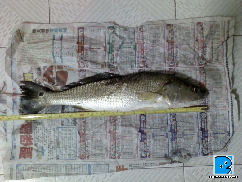 20100810-45cm1.8lb-02.jpg