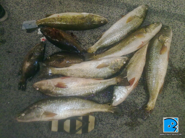 20100807038.jpg