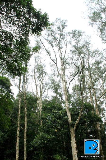 DPP_0031.jpg